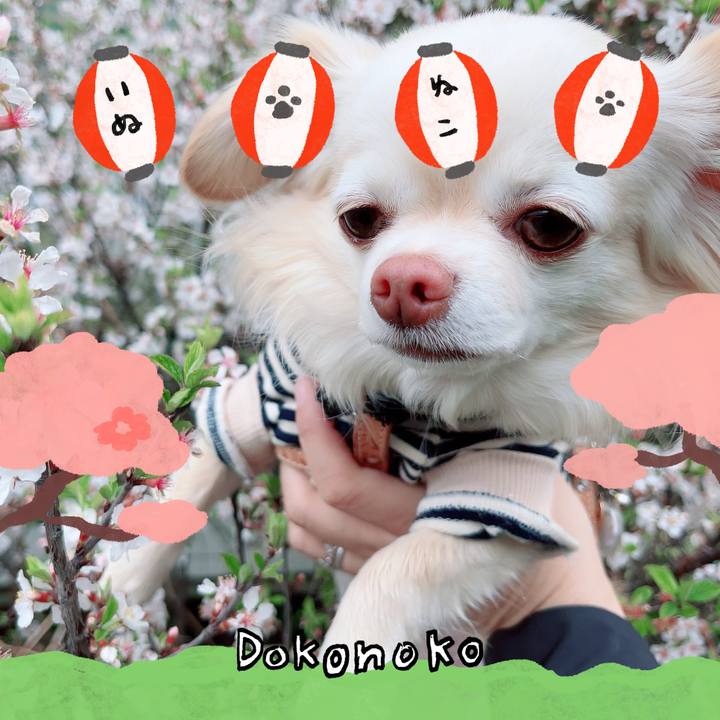 9e1d3acc 49e6 4246 a1eb 2ae7dfc8c986 1712239910489