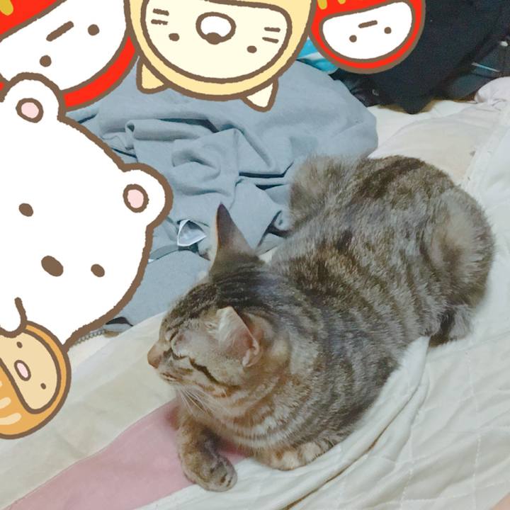 9e1d4577 231d 4904 9857 0cd20adf0e99 1540640150806