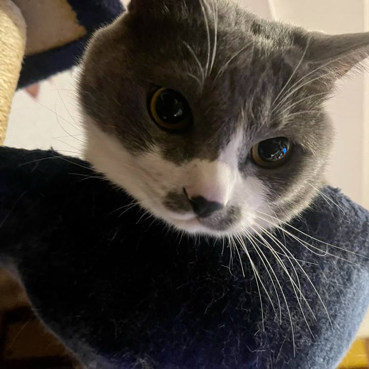 9e1d55cb f9a6 4a1d 9832 86927ac5f787 1645609247804