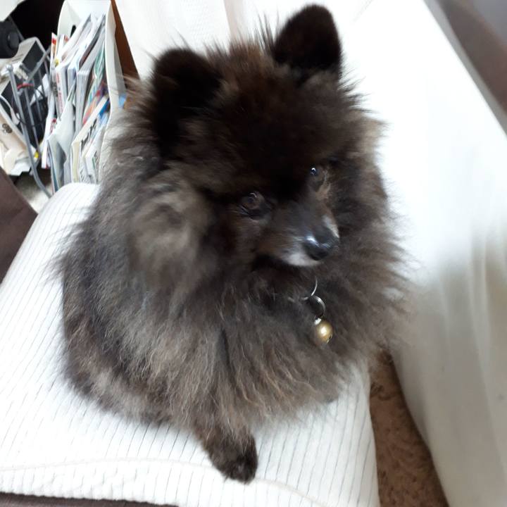 9e1d6a69 f893 430a b5f0 7ac59e8f84ac 1522098853054