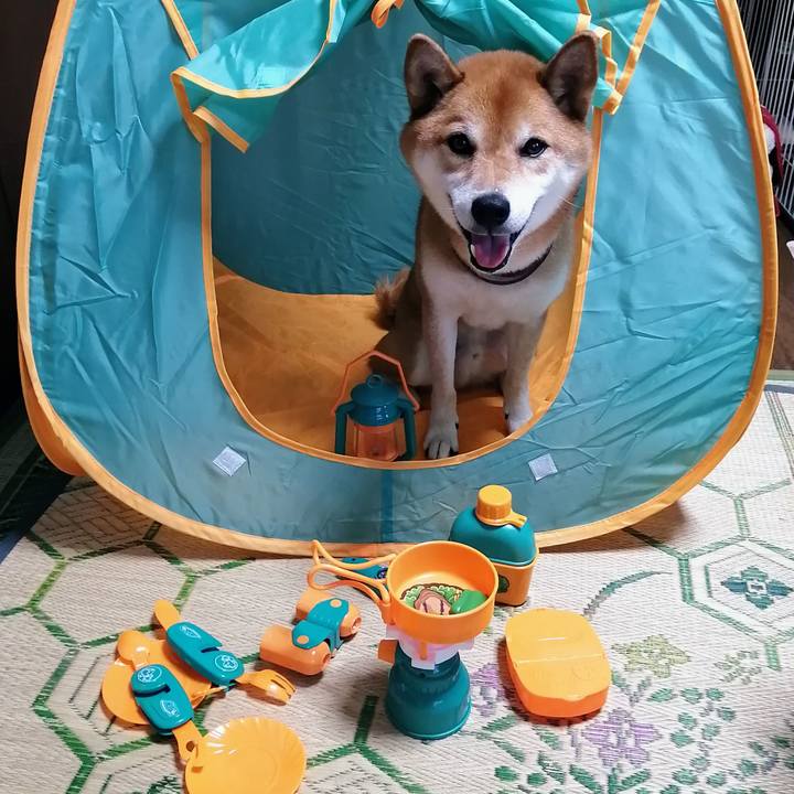 9e1da743 a46b 4026 9d85 304239442d43 1627544509976