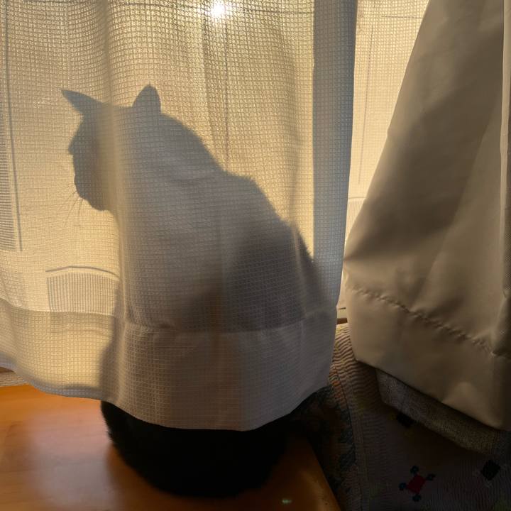 9e1db2a9 c9e5 4802 9e8f 36a143ed929a 1767601908027