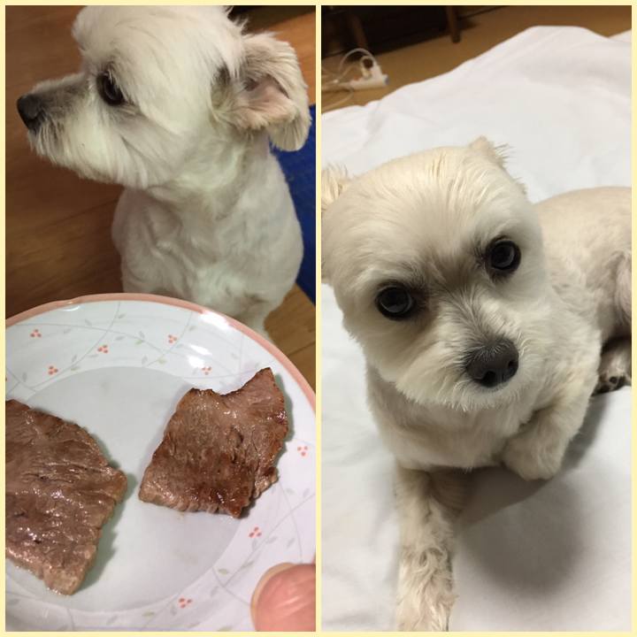 9e1db75c f6bc 47f8 9872 1050c5d1c8fc 1560161305856