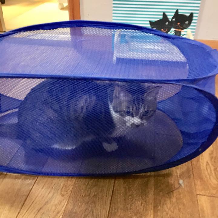 9e1dbde5 e347 47f6 aecb 2c2bca4f625e 1522293444787