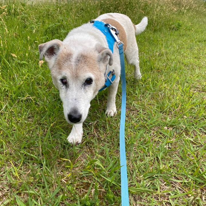 9e1dd1a0 a1a9 4ab9 9044 56f251294300 1716726219460