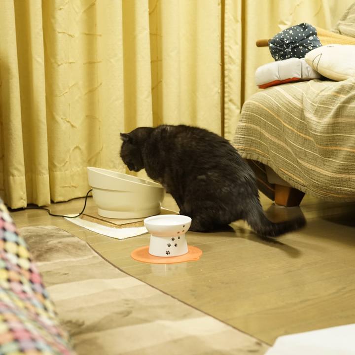 9e1de3a2 1e60 44df a8b8 10863ebfc6b0 1612008095949