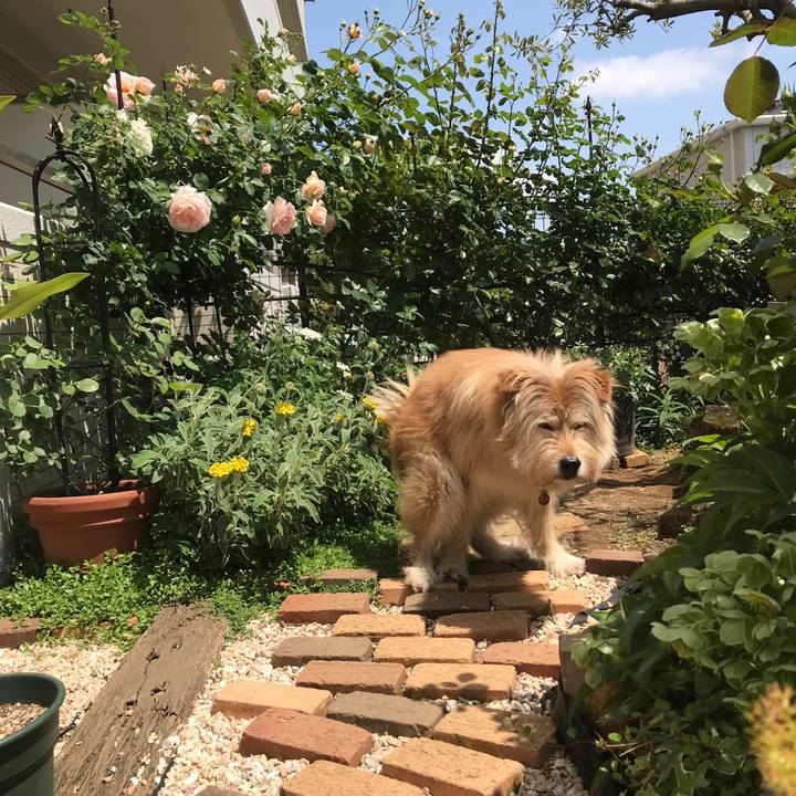 9e1e0874 bc62 451b ab67 e98cb5edd6ad 1619322669405