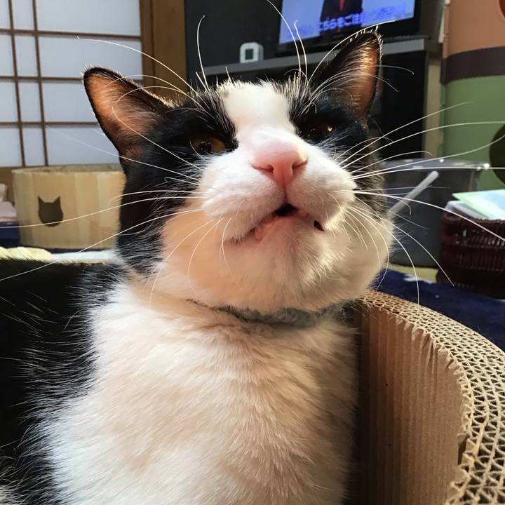 9e1e1142 6149 4c04 8319 f4333df86452 1737620772081