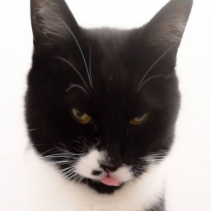 9e1e8ee7 e8a7 4707 8ea1 710dbff3b00c 1593024159831