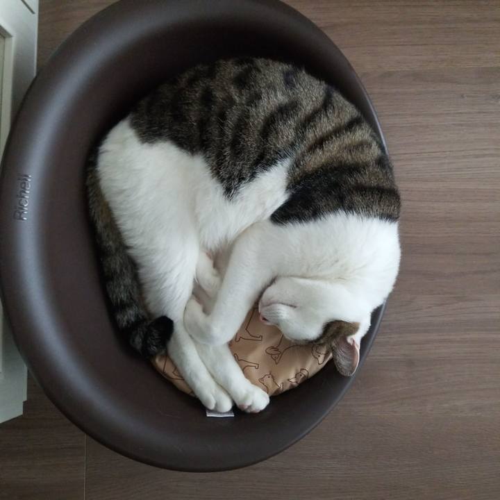 9e1e92da 116f 459b a3da 9b19c6f007df 1558907100071