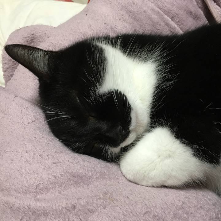 9e1e9429 89c7 4abe 86d1 af2167732742 1579091489032