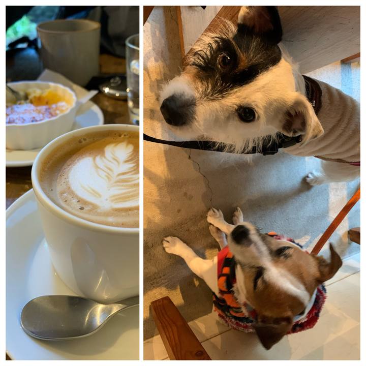 9e1eacb5 32b0 4c51 8cbd 2403ba1ed291 1581152583554