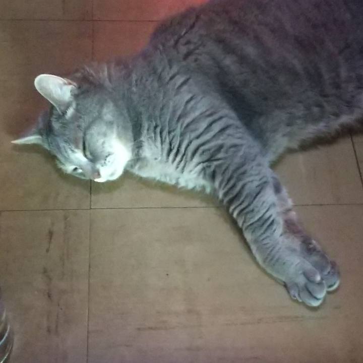 9e1ef035 4c35 4ff9 afd3 f82870947e71 1627885439851