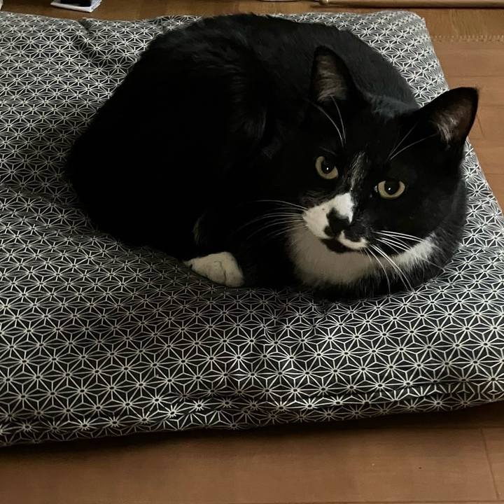 9e1ef117 12b6 41f0 a6ef b746627a0c2e 1715139140990