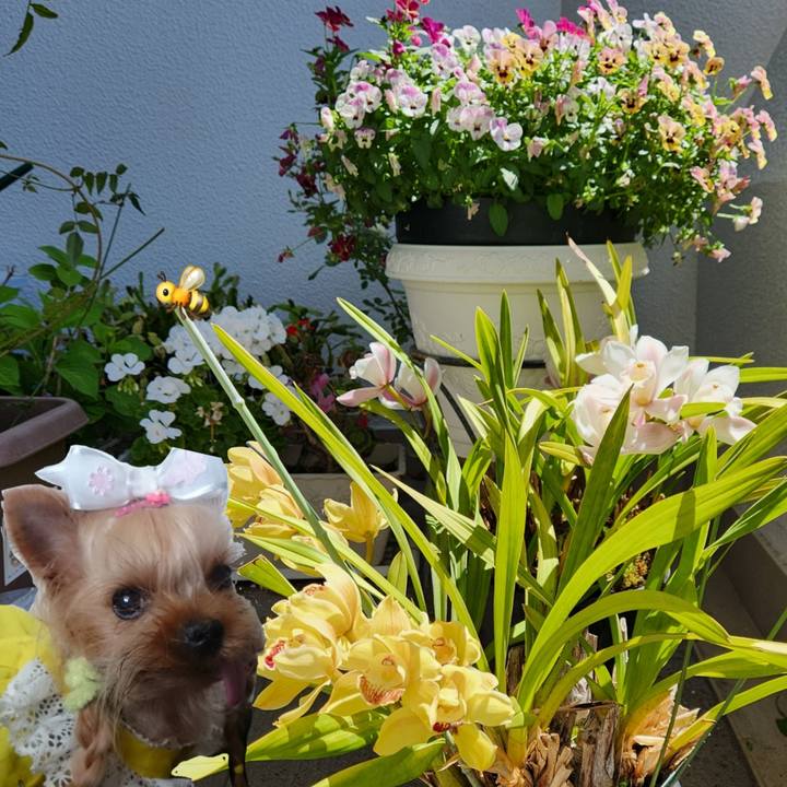 9e1f2ec2 cc62 4a0d 881b e3c3a3c451b7 1714877107417