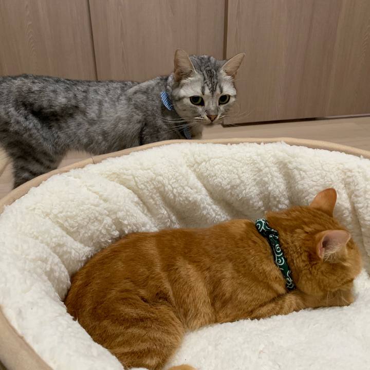 9e1f8a98 b7c0 4a2e 8e4c 449a1c2898cb 1569922744668