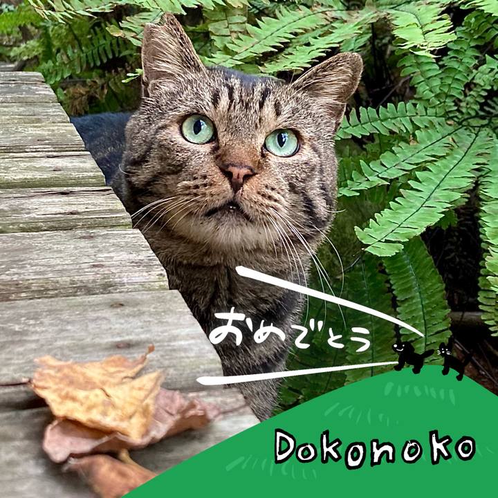 9e1fa557 fa54 4ee4 b96c 308b25e13dfa 1685975494369