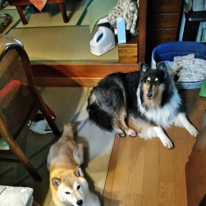 9e1fe5eb efb4 4e37 b4f3 4874862200cd 1533544064083