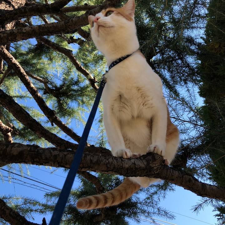 9e20361d 6191 487f 876d 65822c9ca1a7 1539839317801