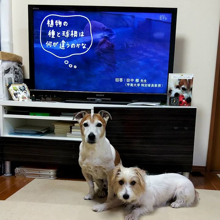 9e2097ba 15e0 4f5b bca8 a2a3410b7f63 1551132195150