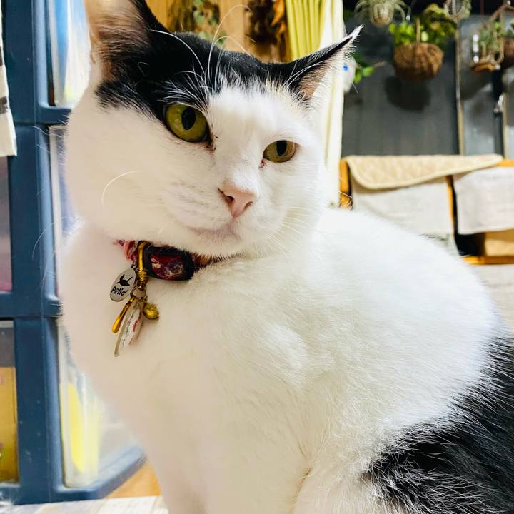 9e20a202 ab06 4c03 9910 5b18a7ede25f 1715955186323