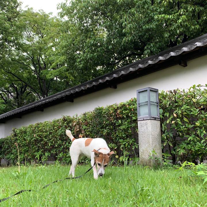 9e20a451 6a4d 4bfc 81a4 2ccd930723da 1592086808364