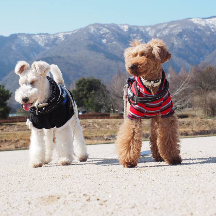 9e210140 6974 4309 a863 b0f1b22b6106 1551929226283