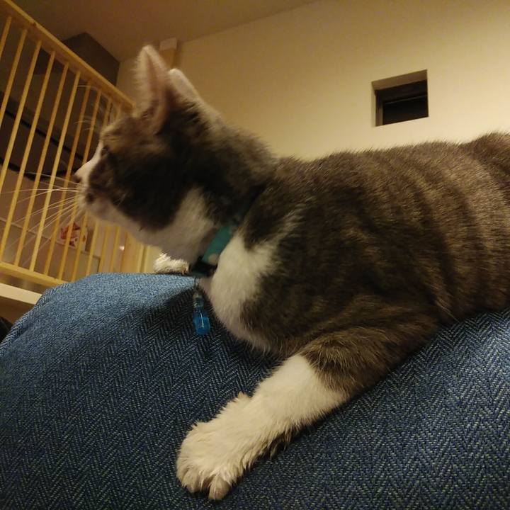 9e213431 8404 41e9 a18a 63f88f45fad8 1578235844210