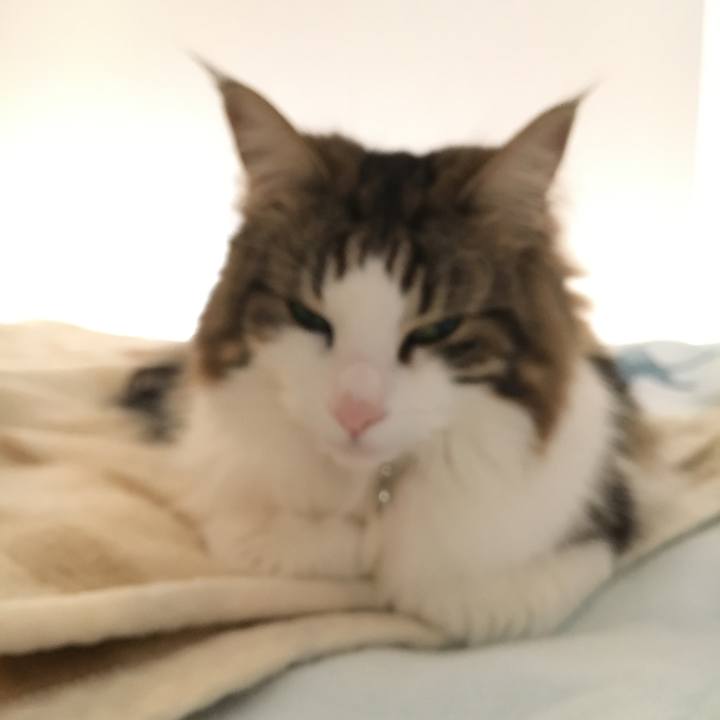 9e213a26 6799 4ecc b55d 4d6983644b38 1522127132328