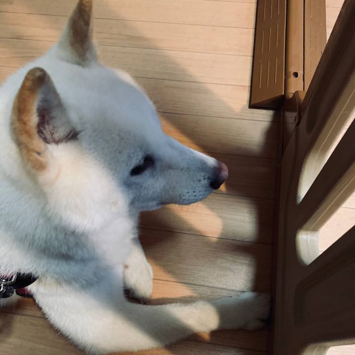 9e21983f 809b 40eb a1eb 527155370cff 1595449023979