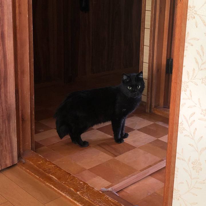 9e21af80 ad3b 4a7e b3bf d5811fb34a7a 1567204935336