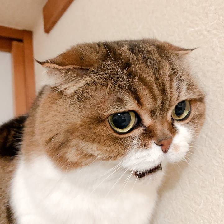 9e21f2e6 27f9 471c a2ef 11aaba9d6e4a 1584115240556