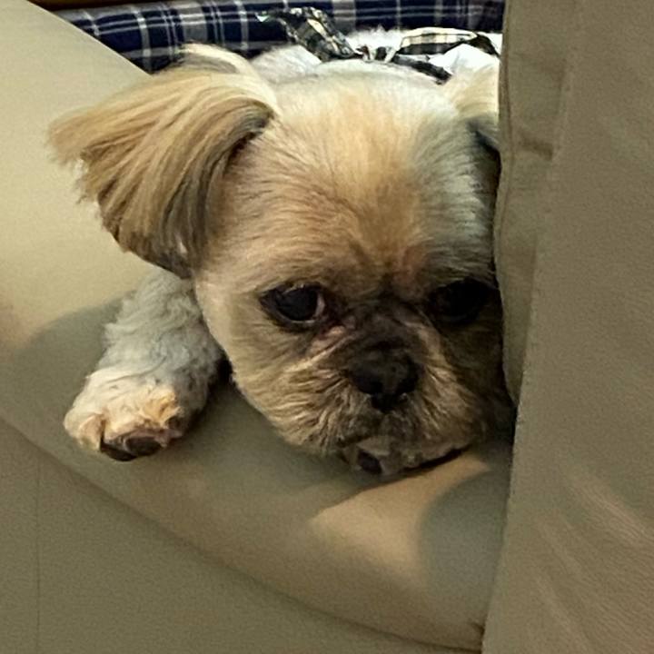 9e21f8cc 382e 481d 9ce2 e3e8e33acf2a 1582552618752