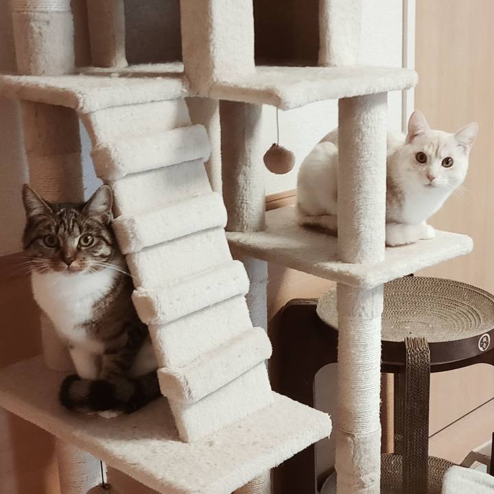 9e22235f 3ed1 44f7 beb6 dd264bd485d0 1644818122309