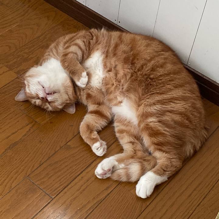 9e224e1c dd53 4672 b541 2edad76603a9 1656493117459