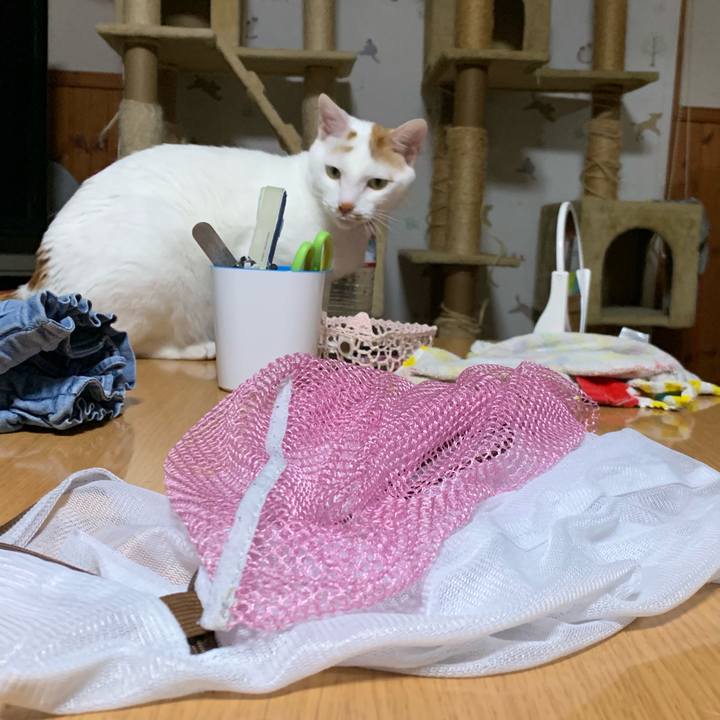 9e22579a 727b 4eec 846b ca05e92d5a1a 1555422414750