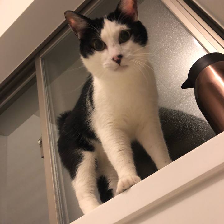 9e2296af bce6 42b8 93cf 64e6bfd3f8e4 1560950108811