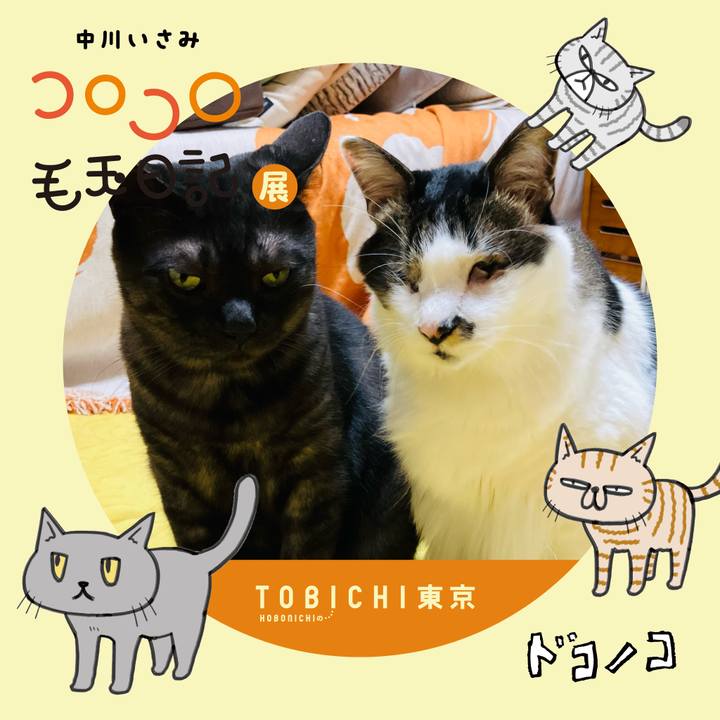 9e22c264 6b34 47d1 95c7 1f3b70e12902 1740104250979