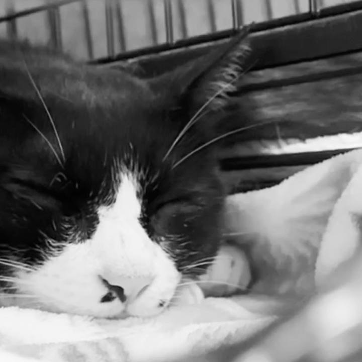 9e22c629 8e24 4e5b acd4 840b48d00997 1750939690374