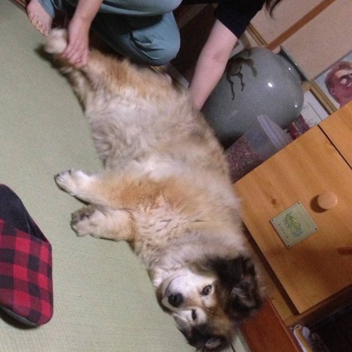 9e22cb6c 3afc 431a 95c1 4ab139789063 1583862836411