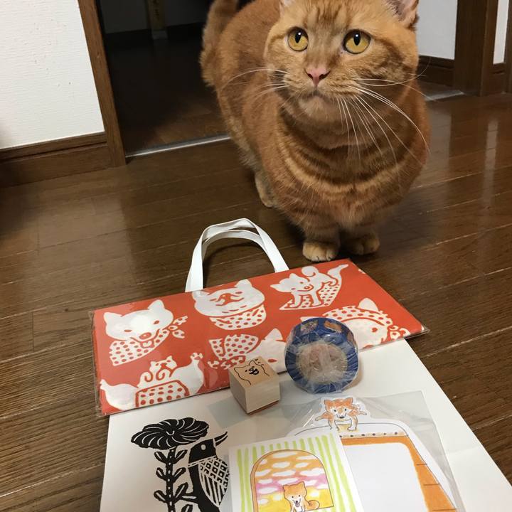 9e23083d a67e 4d2e b0a4 42ff16e91848 1572080680983