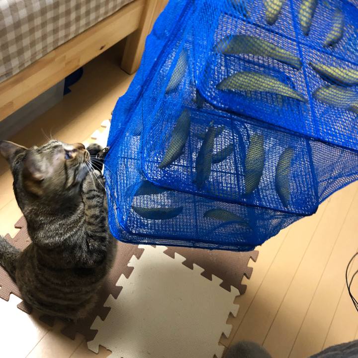 9e232eae 46c4 4773 ac74 cfd9f1b9ed9a 1516636021441