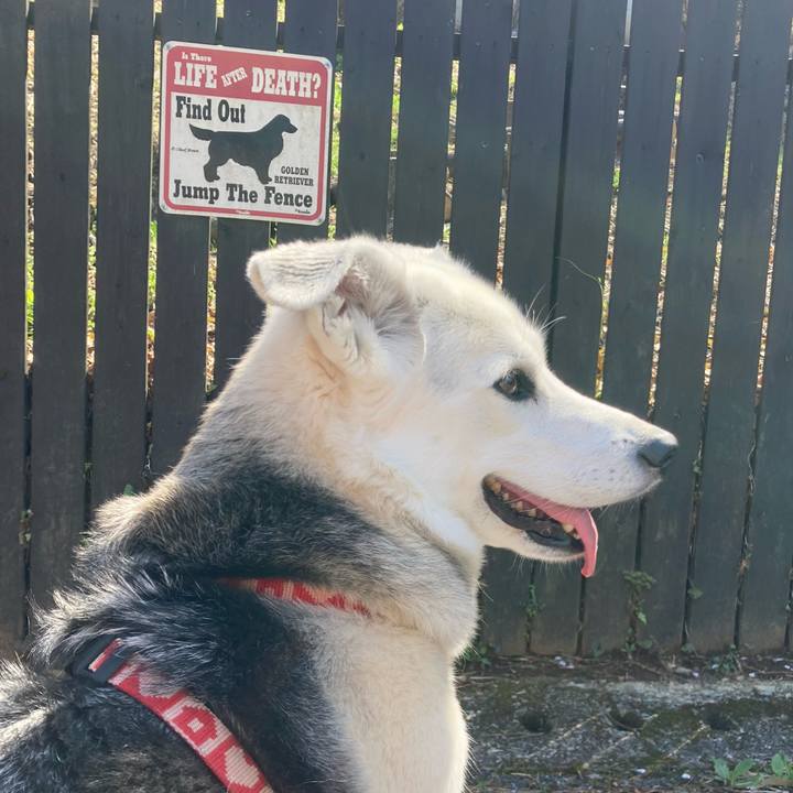 9e234aa8 abcd 419f 989a 83a0779604c0 1680866202702