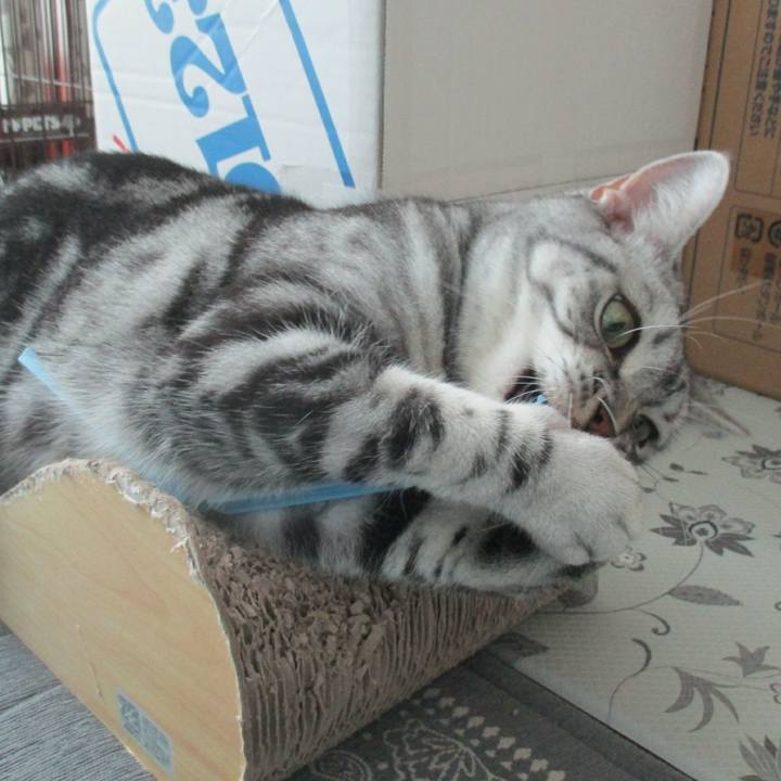 9e234f38 ba39 4a70 a6fe a90abcfc9cfd 1567241761331