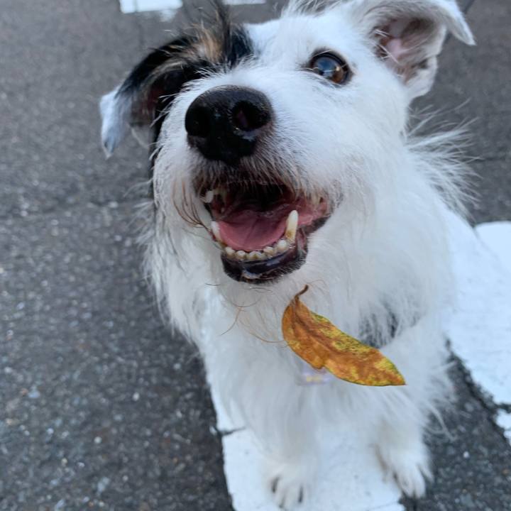 9e2369c3 9d21 4a1b 91b7 9fb034413122 1691658852338