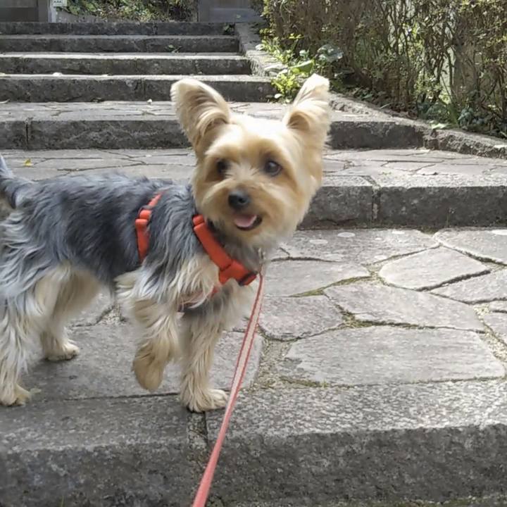 9e236fb7 d6df 4d11 99dc 8f56e872506e 1681213262378