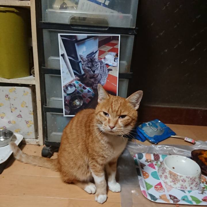 9e239fb9 c20c 4df1 9ace 2b8d694ec683 1600199916767