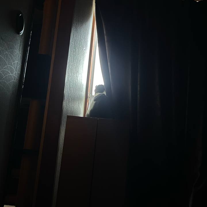 9e23c592 85bb 49fe 926a 3f1545057f32 1659903781530