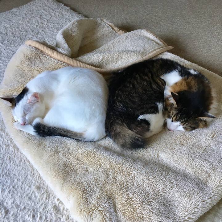 9e23c889 0498 4197 9fee d8b94c7914ca 1514420872579