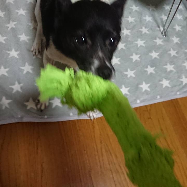 9e23d9d5 441f 4208 8704 234b9e625588 1556717052582